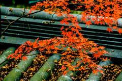 末の秋