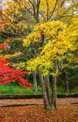 冬が来る前に　２