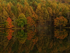 静寂
