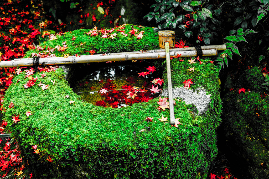 秋降るつくばい