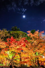 月光紅葉
