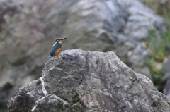 お嬢さんかな？