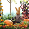 ハロウィン