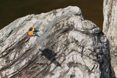 忍びよる影・・・