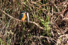 でっか・・・その2