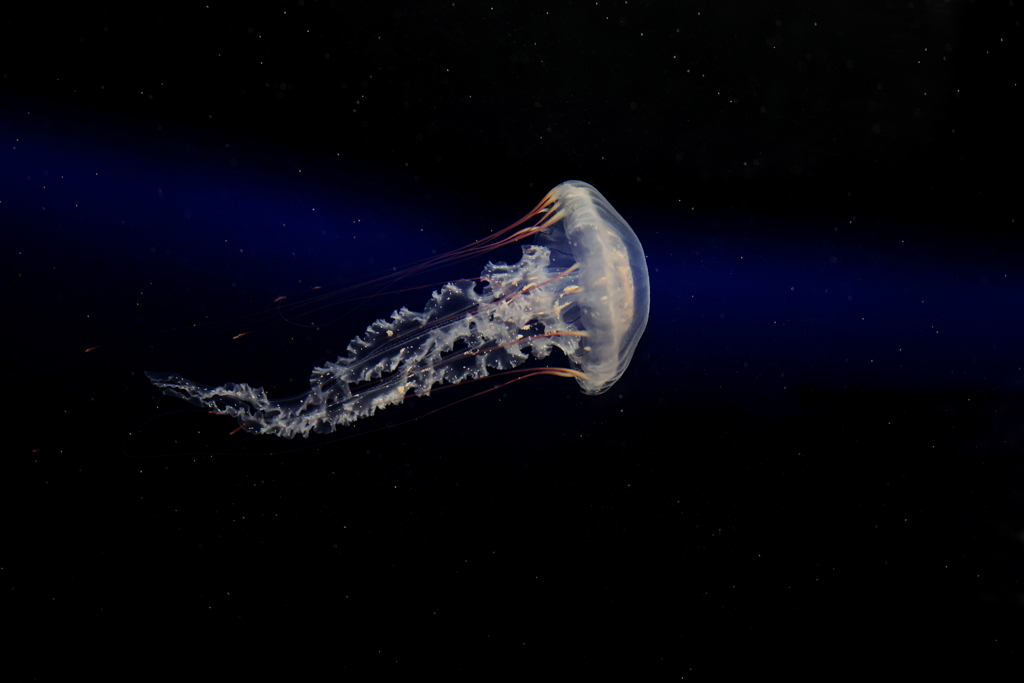 小宇宙