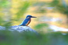 秋色の水面 3