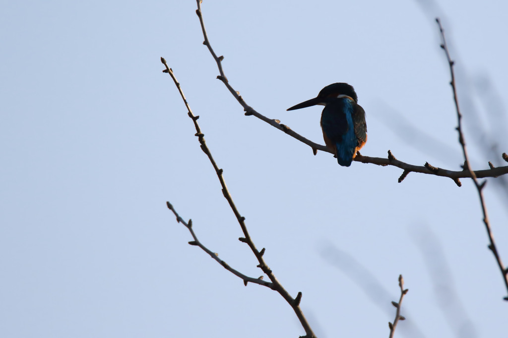 哀愁漂う・・・