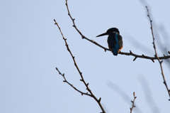 哀愁漂う・・・