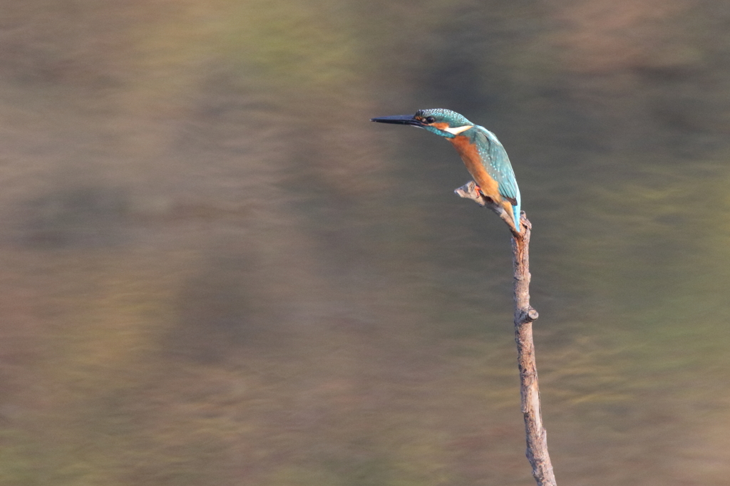 スマートに・・・