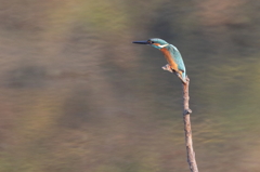 スマートに・・・