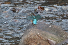 思いっきりブルブル