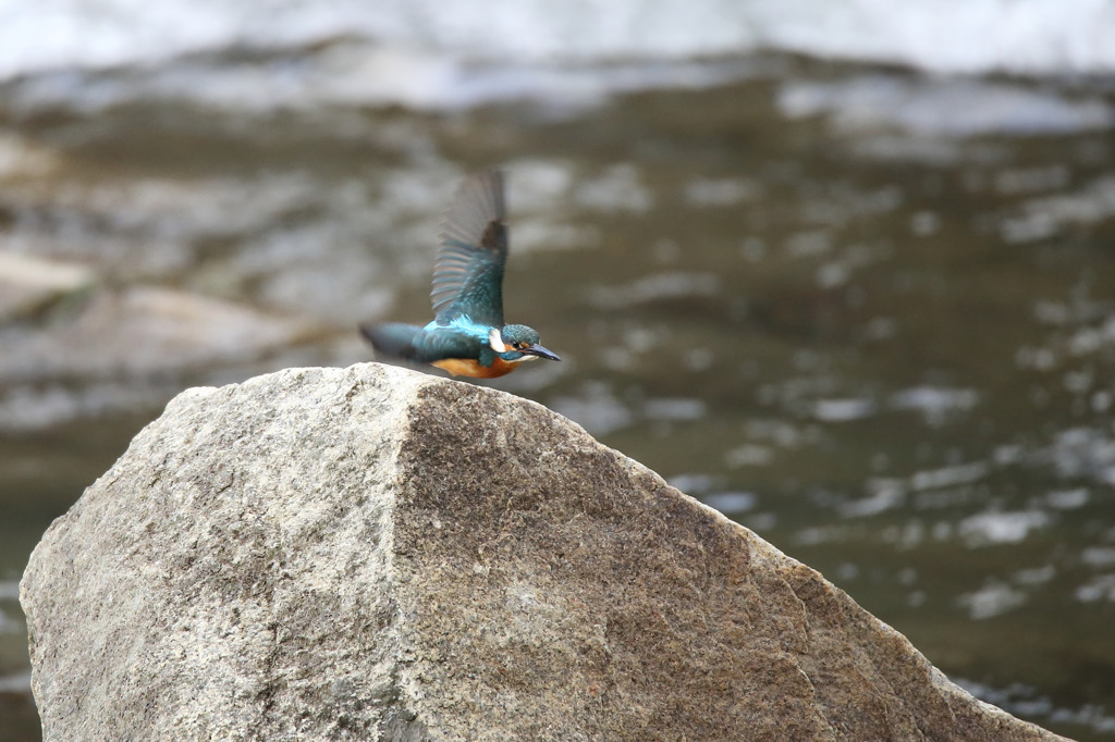 おデブは元気(^O^)