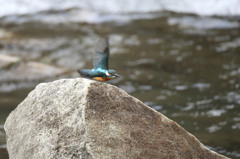おデブは元気(^O^)
