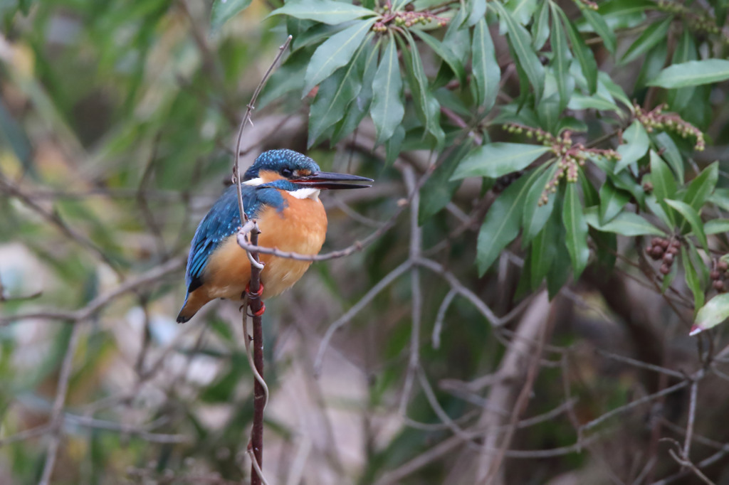 ちょっと顔こわ・・・