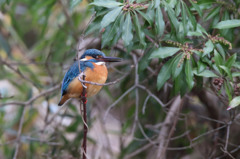 ちょっと顔こわ・・・