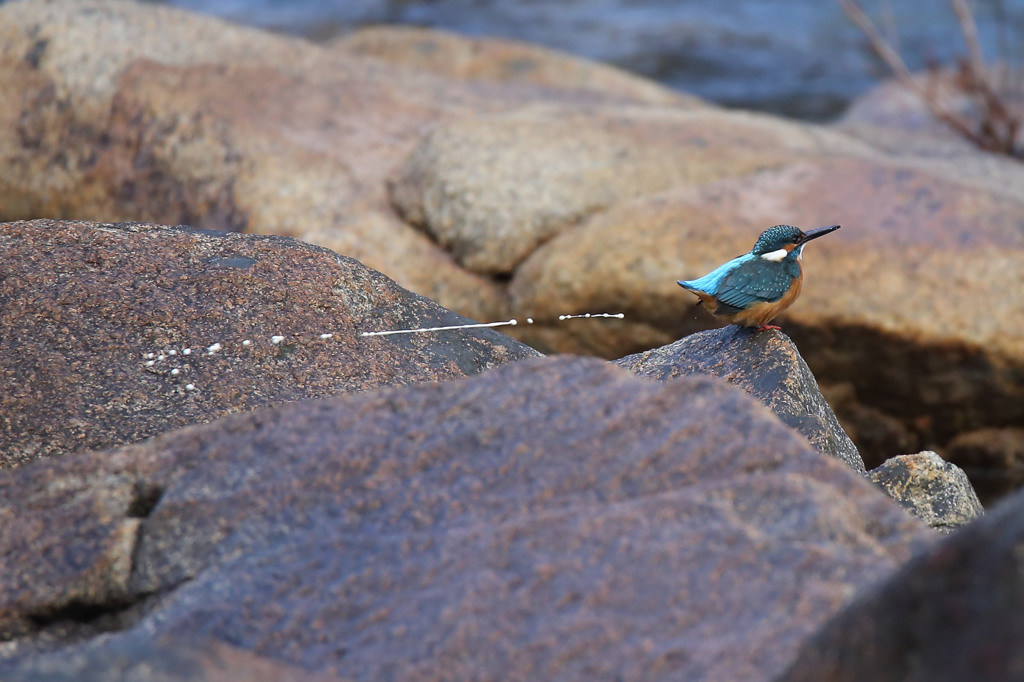 ジェット噴射・・・