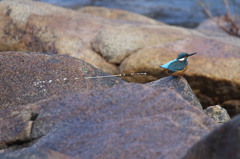 ジェット噴射・・・