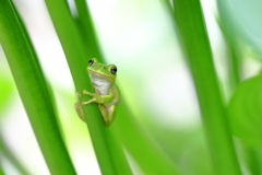 こっち見とるわ・・・