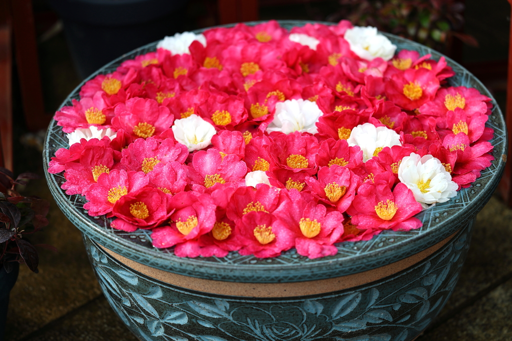 花手水