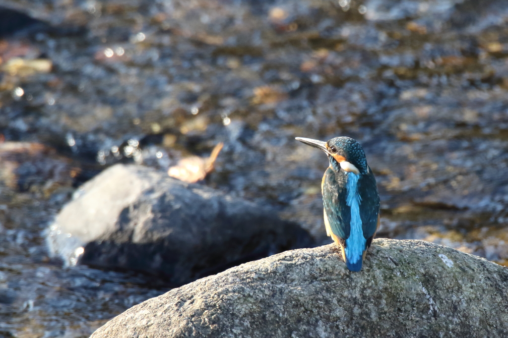 これもメチャちか。