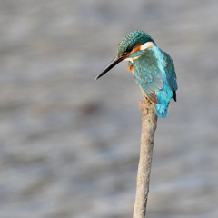 今年最後のUPです。
