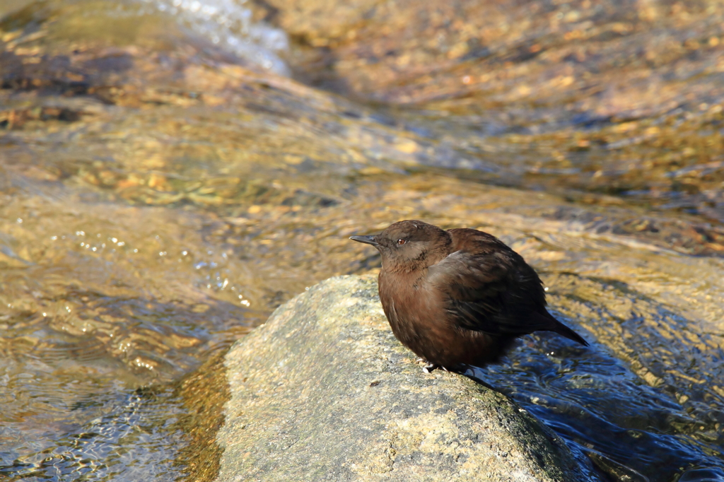 丸まりすぎ・・・