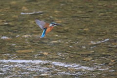 飛び込み失敗(;_;)