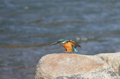 よっこらしょ・・・と。