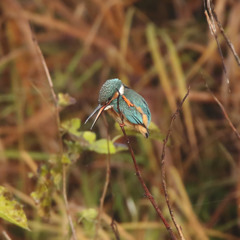 そんなん言われたら照れまんがな・・・