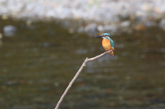 カワちゃん素敵やね