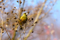 一人ぼっち
