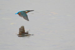 お帰りです・・・