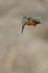 ロックオン完了。