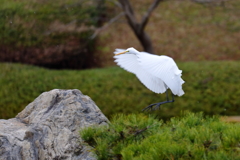 ピンが・・・