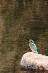 ちょっとおすまし