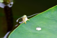 水中から