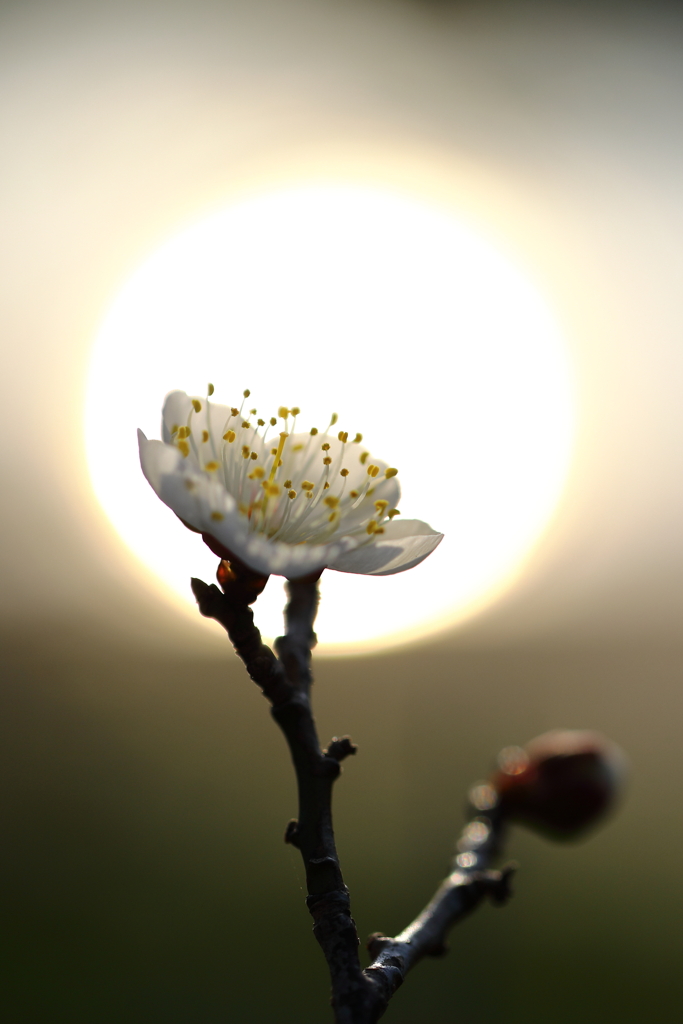 幻想