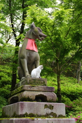 狐と猫