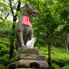 狐と猫