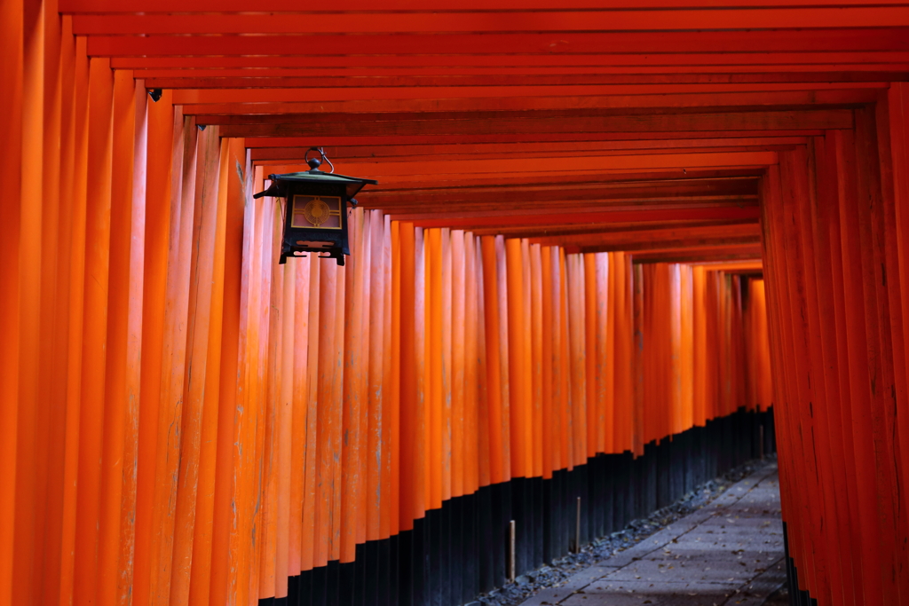 千本鳥居