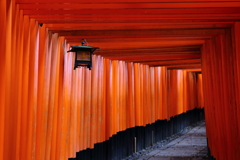 千本鳥居