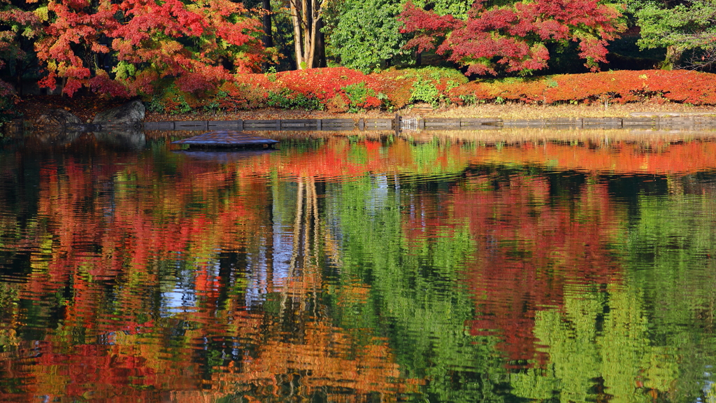 何時もの公園