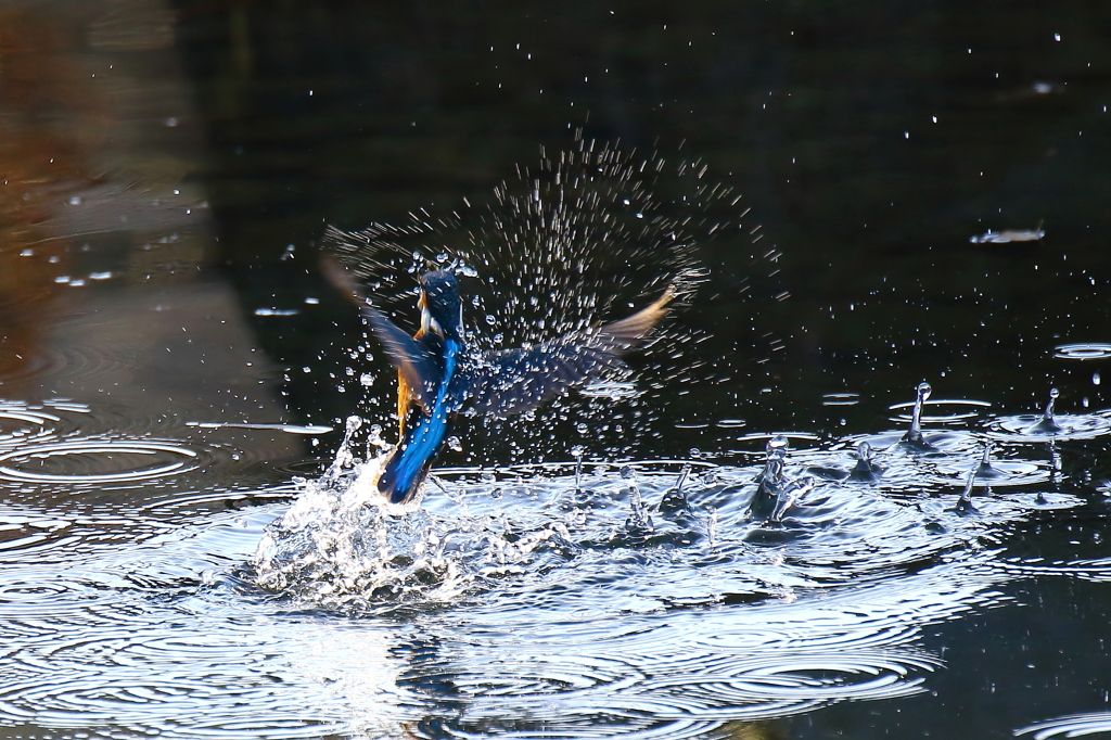 水飛沫