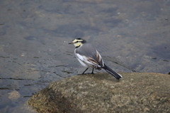 案外可愛いかも・・・