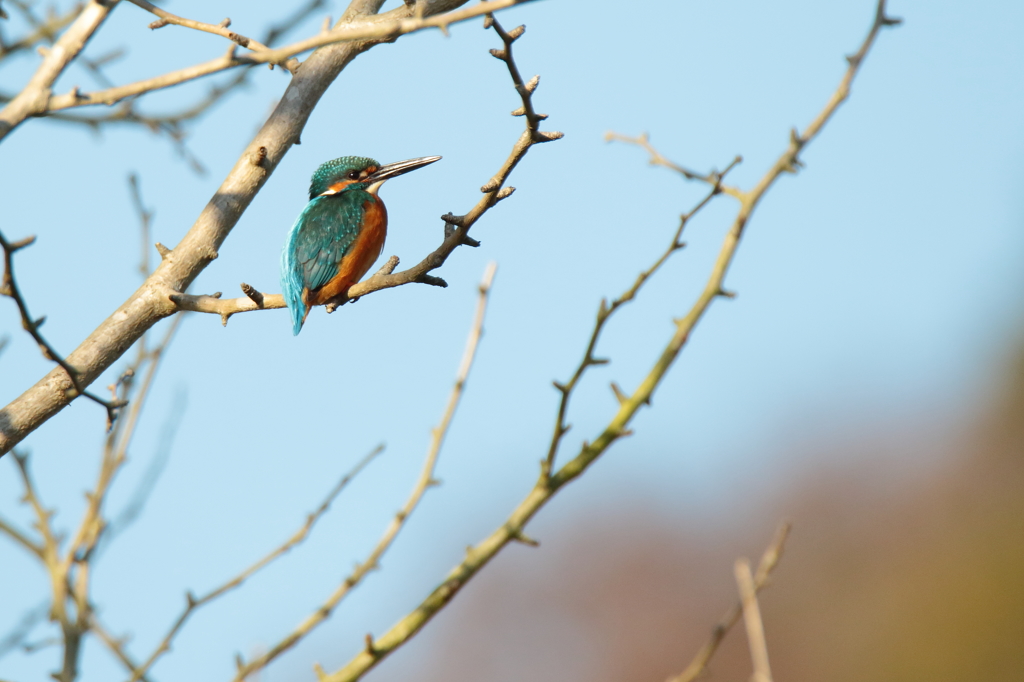物思いにふけて・・・