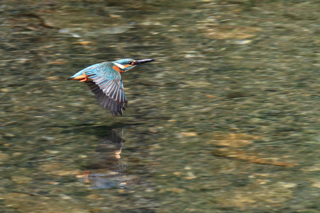 飛んでる飛んでる。