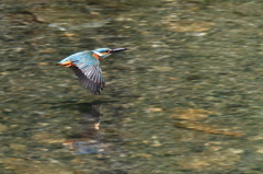 飛んでる飛んでる。