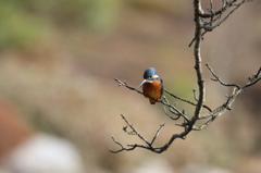 探し中・・・ 探し中・・・