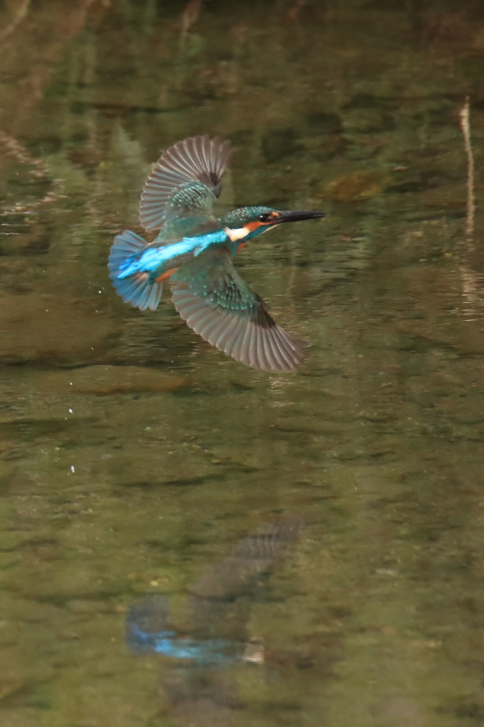 いきなりのご訪問